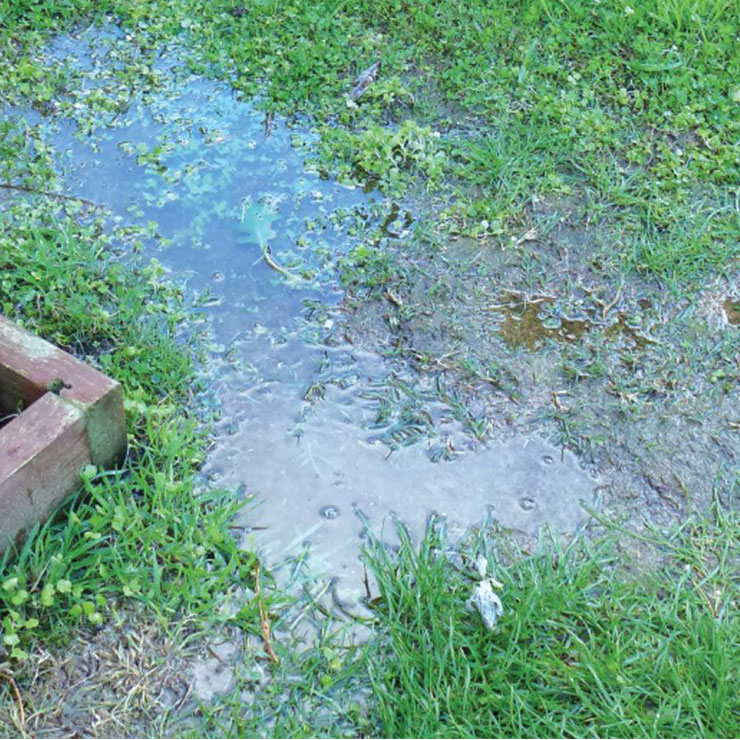 Backyard Wet Spots Broken Sewer Pipe